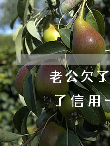 老公欠了信用卡離婚會讓他負責嗎-老公欠了信用卡離婚會讓他負責嗎知乎