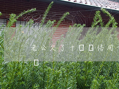 老公欠了十幾萬信用卡（老公欠幾十萬信用卡債）