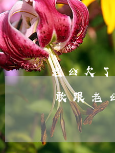 老公欠了好几万网贷怎么办(欠网贷十几万不敢跟老公讲怎么办)
