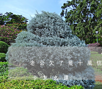 老公欠了幾十萬信用卡(老公欠了幾十萬信用卡怎么還)