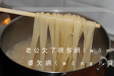 老公欠了很多網(wǎng)貸怎么處理(老婆欠網(wǎng)貸老公用還嗎)