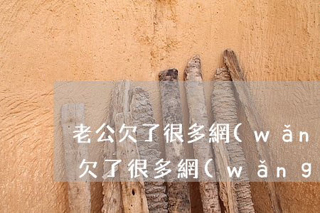 老公欠了很多網(wǎng)貸離婚了(老婆欠了很多網(wǎng)貸該離婚嗎)