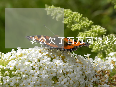老公欠了百万网贷(老公欠网贷十多万怎么办)
