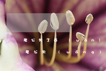 老公欠了百萬(wàn)網(wǎng)貸(老公欠網(wǎng)貸十多萬(wàn)怎么辦)