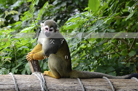老公欠了網(wǎng)貸咋辦(老公欠了網(wǎng)貸打電話給我了)