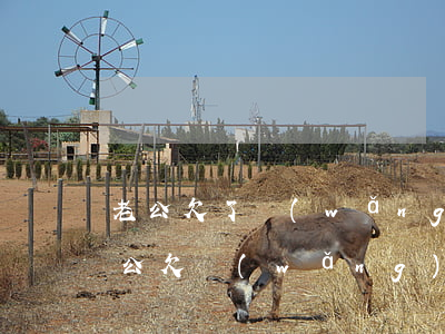 老公欠了網(wǎng)貸會影響老婆嗎(老公欠網(wǎng)貸會不會影響老婆)