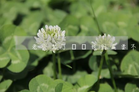 老公欠了網貸我到底要不要替他還
