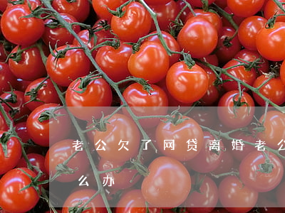 老公欠了网贷离婚(老公欠网贷离婚后孩子怎么办)