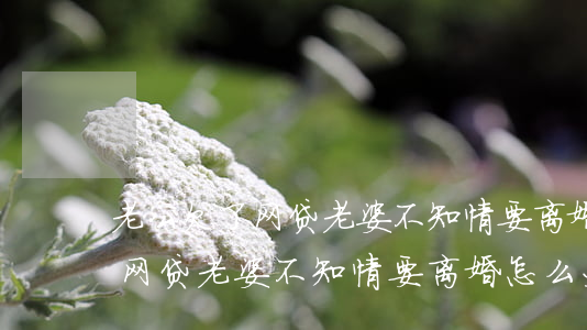 老公欠了网贷老婆不知情要离婚-老公欠了网贷老婆不知情要离婚怎么办