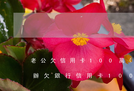 老公欠信用卡100萬(wàn)逾期怎么辦(欠銀行信用卡100萬(wàn)還不上怎么辦)
