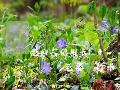 老公欠信用卡14w-老公欠信用卡被起訴會凍結老婆銀行卡嗎?