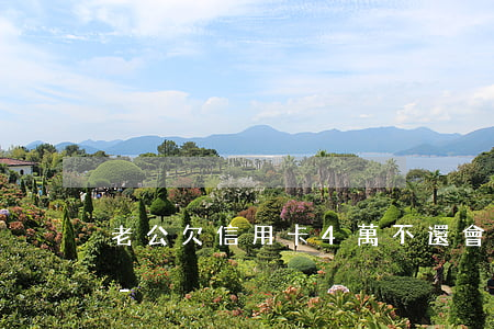 老公欠信用卡4萬不還會(huì)怎么樣-