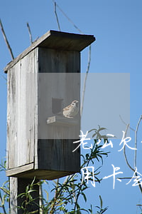 老公欠信用卡会影响家庭生活吗-老公欠信用卡会影响家庭生活吗知乎