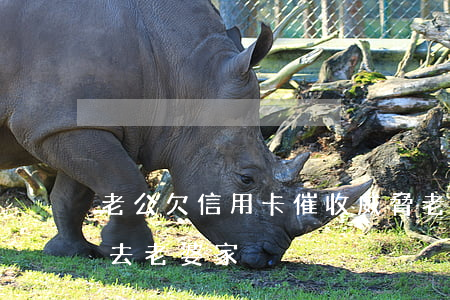 老公欠信用卡催收威脅老婆（信用卡逾期催收去老婆家）