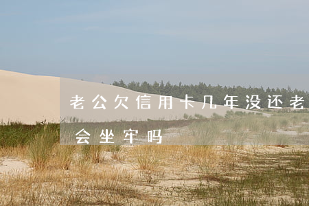 老公欠信用卡几年没还(老公欠信用卡还不上会坐牢吗)