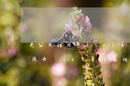 老公欠信用卡協(xié)商他還 老公欠信用卡協(xié)商他還款怎么辦