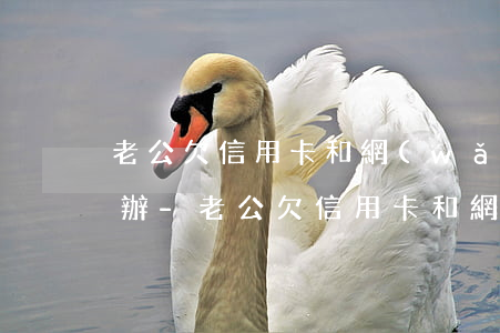 老公欠信用卡和網(wǎng)貸離婚怎么辦-老公欠信用卡和網(wǎng)貸離婚怎么辦理