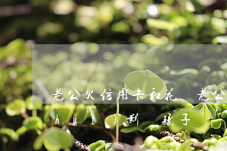 老公欠信用卡和花唄(老公欠信用卡不還,會(huì)影響孩子嗎)