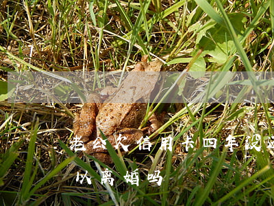 老公欠信用卡四年没还(老公欠信用卡不还可以离婚吗)
