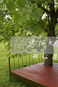 老公欠信用卡如何证明-老公欠信用卡要告诉公婆吗
