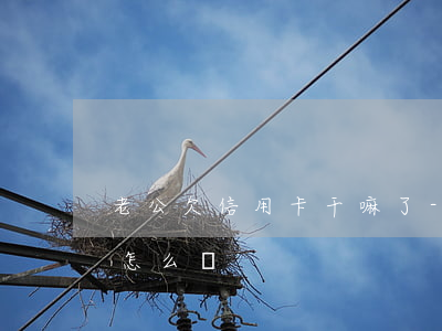 老公欠信用卡干嘛了-老公欠信用卡干嘛了怎么辦