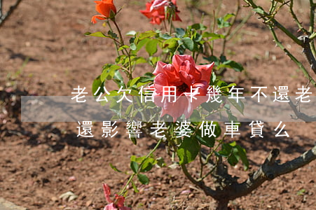 老公欠信用卡幾年不還 老公欠信用卡幾年不還影響老婆做車貸么