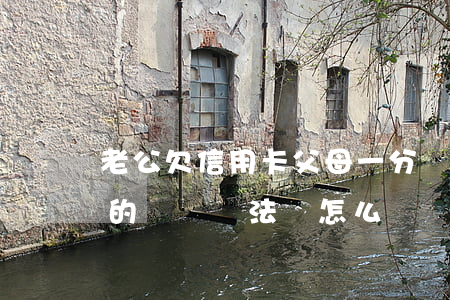 老公欠信用卡父母一分錢不出(老公欠信用卡的錢沒辦法還怎么辦)