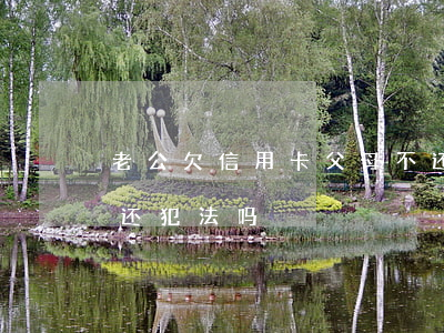 老公欠信用卡父母不还(老公欠信用卡父母不还犯法吗)