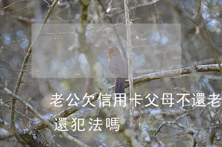 老公欠信用卡父母不還(老公欠信用卡父母不還犯法嗎)