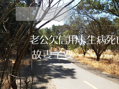 老公欠信用卡生病死亡(丈夫欠信用卡如果身故妻子要還)