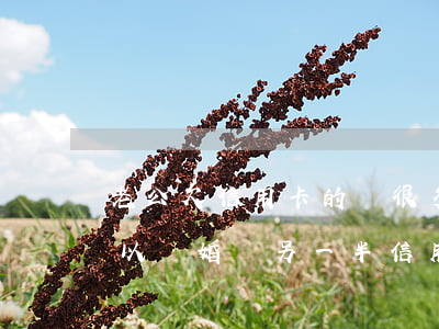 老公欠信用卡的錢很多,現(xiàn)在可以離婚嗎?（另一半信用卡欠很多錢）