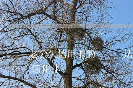 老公欠信用卡的錢沒辦法還怎么辦（老公說欠信用卡）