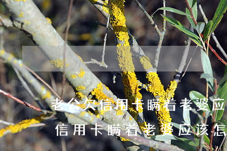 老公欠信用卡瞒着老婆应该怎么办-老公欠信用卡瞒着老婆应该怎么办呢
