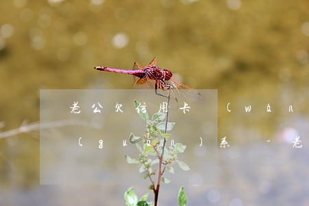 老公欠信用卡網(wǎng)貸與老婆有關(guān)系嗎-老公欠信用卡網(wǎng)貸與老婆有關(guān)系嗎知乎