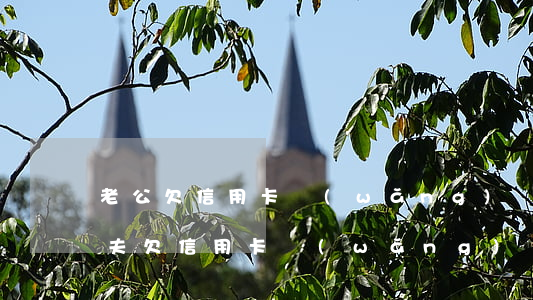 老公欠信用卡網(wǎng)貸該怎么辦(丈夫欠信用卡網(wǎng)貸怎么離婚)