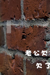 老公欠信用卡網(wǎng)貸離婚小孩歸誰(欠了網(wǎng)貸離婚孩子能跟我嗎)