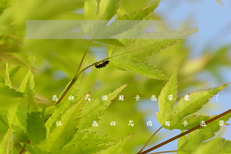 老公欠信用卡老婆要負(fù)責(zé)任嗎(老公欠信用卡老婆要負(fù)責(zé)任嗎怎么辦)