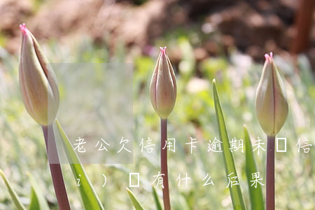 老公欠信用卡逾期未還(信用卡逾期沒(méi)還有什么后果)