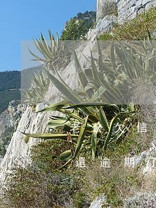 老公欠信用卡逾期未還(前夫用我的信用卡不還逾期了怎么辦)