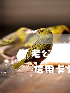 老公欠信用卡錢(qián)老婆不還(老婆信用卡欠錢(qián)還不上跟老公有沒(méi)有影響)