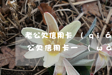 老公欠信用卡錢(qián)老婆要還嗎（老公欠信用卡一萬(wàn)二）