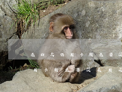 老公欠信用卡钱老婆没花用还吗-老公欠信用卡钱老婆没花用还吗怎么办