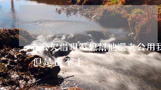 老公欠借唄不想幫他還(老公用我的借唄借錢但是還不上)