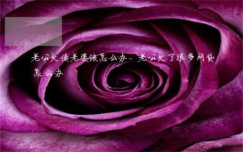 老公欠债老婆该怎么办-老公欠了很多网贷怎么办