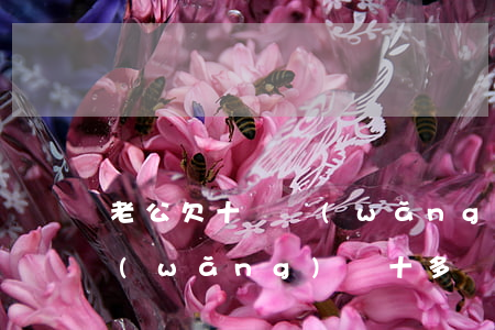 老公欠十萬網(wǎng)貸離婚(老公欠網(wǎng)貸十多萬怎么辦)