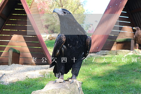 老公欠四十个7天高炮网贷(网贷逾期高炮还能借吗)