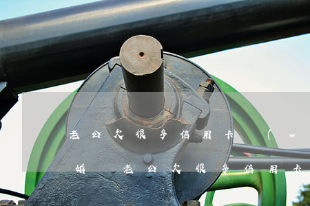 老公欠很多信用卡網(wǎng)貸我要離婚嗎(老公欠很多信用卡網(wǎng)貸我要離婚嗎)