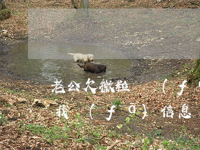 老公欠微粒貸發(fā)信息給我(微粒貸給我發(fā)信息說(shuō)要起訴我)