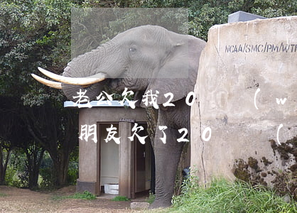 老公欠我20萬網(wǎng)貸怎么辦(男朋友欠了20萬網(wǎng)貸,我該怎么辦)