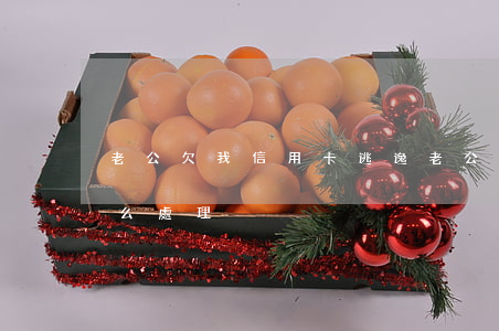 老公欠我信用卡逃逸(老公欠我信用卡逃逸怎么處理)
